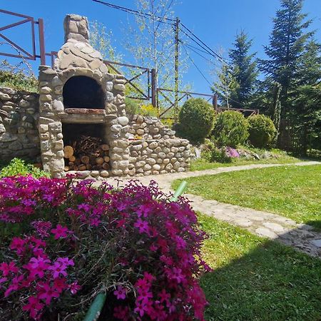 Chalet Mila Mavrovo Bagian luar foto