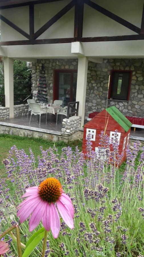 Chalet Mila Mavrovo Bagian luar foto