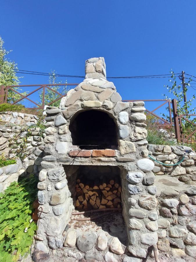 Chalet Mila Mavrovo Bagian luar foto