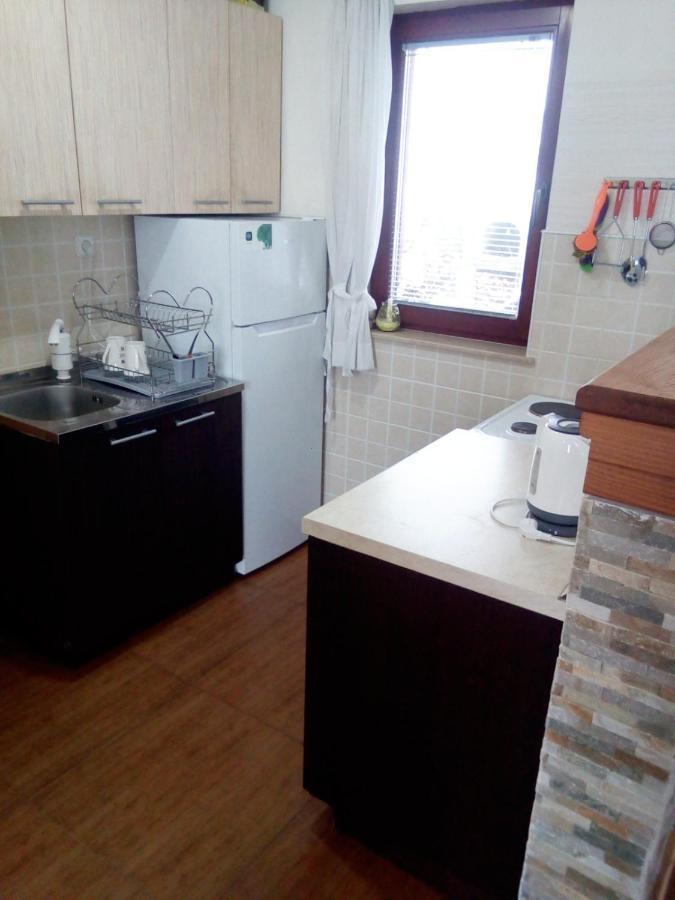 Chalet Mila Mavrovo Bagian luar foto