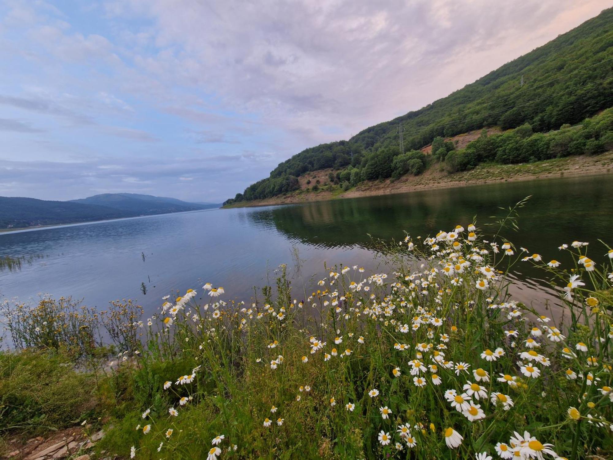 Chalet Mila Mavrovo Bagian luar foto