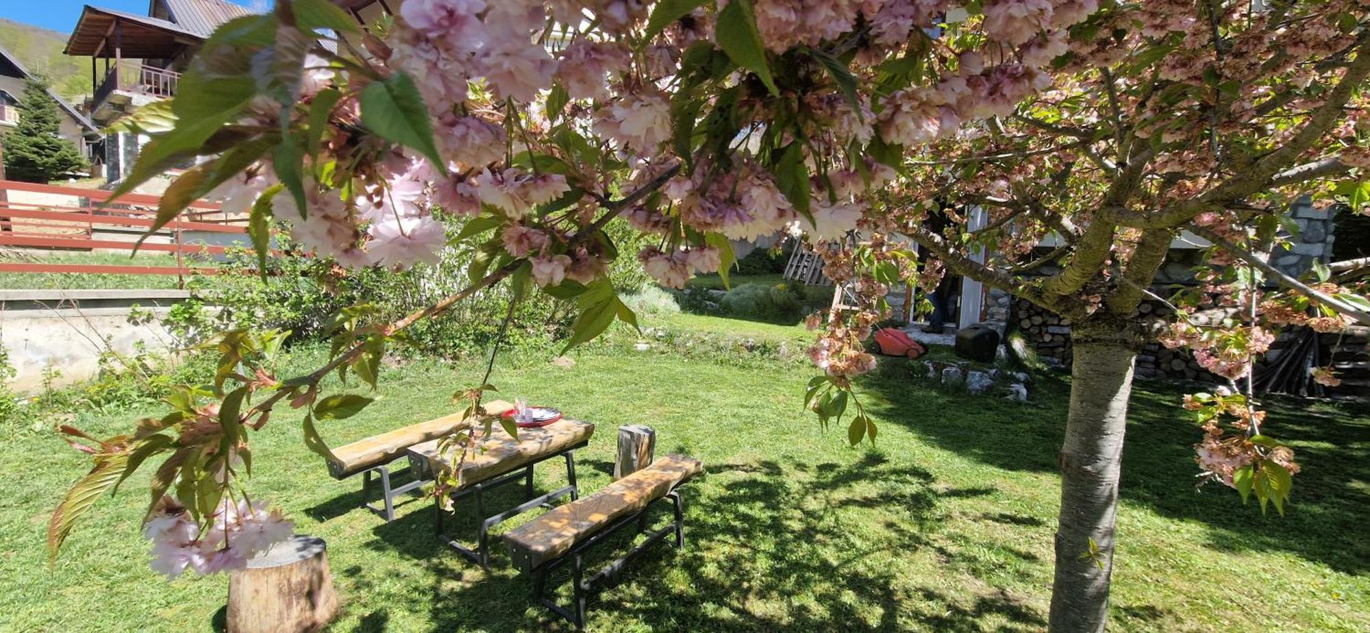 Chalet Mila Mavrovo Bagian luar foto